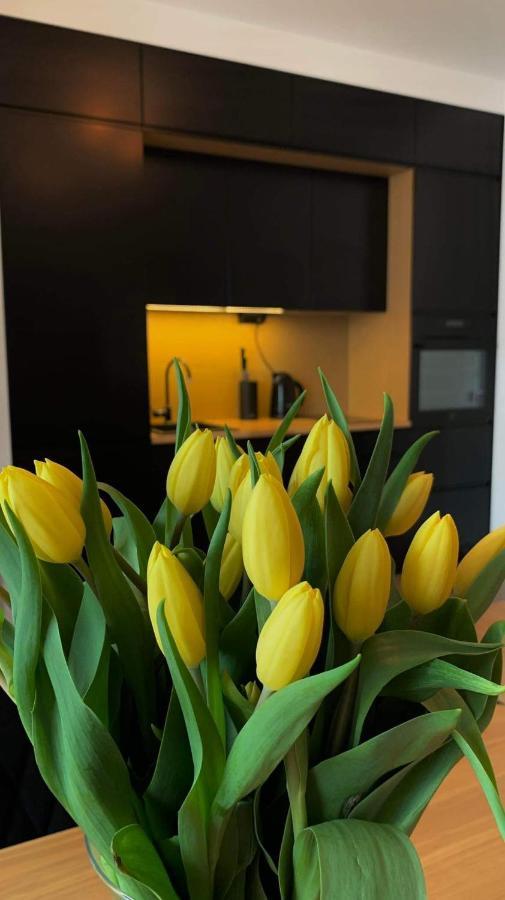 Garden Apartment Free Parking Place Γκντανσκ Εξωτερικό φωτογραφία